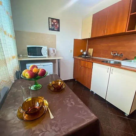 Apartment Yana Obzor
